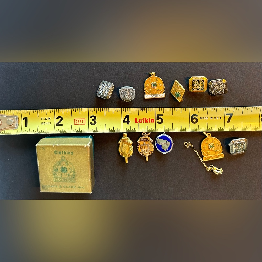 4H, academic pins- vintage. 4H pin Box - Picture 4 of 9
